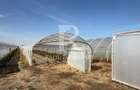 Teren intravilan agricol | 7029 mp | Satu Nou | Bihor