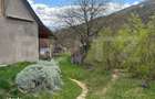 Casa cu 2.2 ha teren, liniste totala, livada, acces asfaltat - 7