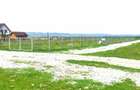 Teren Valea Avrigului (Avrig, Sibiu) - 7
