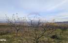 Teren extravilan 10,791mp Falticeni / Strada DJ209A, Opriseni
