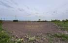 Teren industrial-comercial PUZ aprobat | Padureni E70 - 3