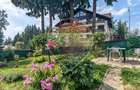 Casa, 14 camere, investitie Aparthotel, Predeal