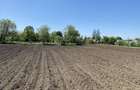 De vanzare casa+teren 3500mp