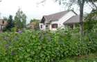 Vanzare casa! ( Ungaria ) - 1