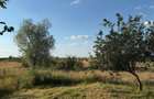 🏡 Casă de vânzare în satul Cruceni - 15