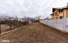 Gradina 300 mp - in ora? - 5