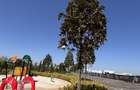2 camere in ansamblu privat | Parc 6.000 mp | Militari - 6