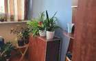 PF dau in chirie garsoniera cartier Manastur - 2