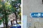 Apartament 3 camere Bucuresti, ID: R2755475 - 7