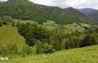 Teren intravilan 4.151 mp in Pe?tera (Moeciu), Proiect DTAC inclus - 6