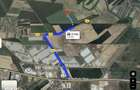 TEREN DE VANZARE IN ULMI, GIURGIU, A1 - KM 23 / 33.334 m2 / 66.667 m2 - 2