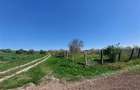 Teren pentru dezvoltare rezidentiala langa padure, in Pischia - 5