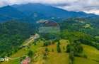 Teren intravilan 2,410mp Rasnov - Valea Panicelului, vedere panoramica - 1