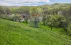 Teren intravilan 4.733 mp - Drajna de Jos, Prahova - 4