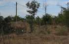 Teren 3500mp intravilan casa 112mp si 43mp anexe Istria - 13