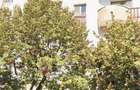 Vand ap 3 camere Gherla l Centru| Avram Iancu - 6