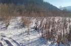 Teren Intravilan Sinaia 444 mp - 3
