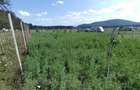 Teren agricol de vanzare, 500mp, imprejmuit - 3