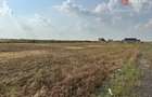 Parcele teren de vanzare in Sanandrei - ID V5451 - Sanandrei (Timis)