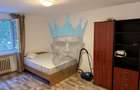 Apartament 3 Camere Parcul Circului Bucuresti - 3