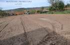 Casa 5 Camere, Teren 1600mp Zorlentu Mare - 5