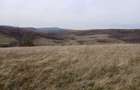 De vanzare,Tomnatic Bihor - 2