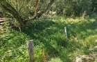 Vand teren intravilan in Floresti 392mp