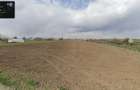Teren intravilan platare?ti-calara?i (18km bucure?ti) - 4400mp - 4
