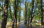 Floreasca Parcul Verdi
