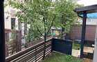 De inchiriat apartament 3 camere, semicentral, zona Papiu - 11