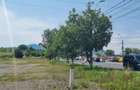 Teren intravilan in Santuhalm cu o suprafata de 5500mp, - 3