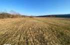 Cota 1/2 teren extravilan Sieu, Bistrita Nasaud - 3040072