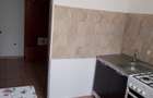 De Inchiriat Apartament cu 2 camere zona Independentei - 3