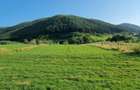 Teren extravilan de vanzare la munte, 5000 m.Marajdie Gura Raului. - 2