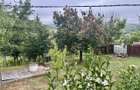Casa P+M Chicerea Tomesti 2.200 mp teren, 30 ml asfalt, livada matura - 10