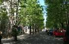 Ultracentral -G. Cosbuc, Aleea cu castani, ap. 2 camere, etaj bun !!