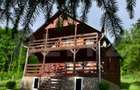 Casa de vacanta cu 4 camere,3300 mp teren,Rimet - 11