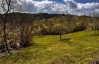 Vand teren intravilan - 5