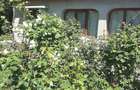 Casa de vanzare in comuna Orbeasca de jos, Sat Laceni jud.Teleorman - 3