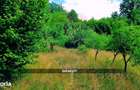 Teren intravilan 6115mp | Danesti, Maramures | Oportunitate investitie - 3