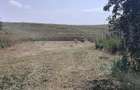 Teren intravilan 1402 mp Dulce?ti (23 August) | Asfalt | Utilita?i la gard - 1