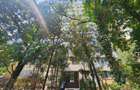 Apartament 3 Camere Renovat ( Mobilat si Utilat - totul nou ) - 14