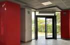 Spatiu comercial de inchiriat in Calea Aradului - 3