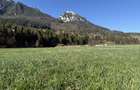 Teren intravilan 1269 mp cu priveliste la 12 km de zona Bran-Moeciu. - 3