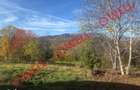 Casa de vanzare in Sohodol, Bran, cu teren de 4.831 m2!