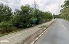 Teren de vanzare 1500mp | Snagov | Deschidere Stradala - 3