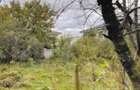 Casa de vanzare in Tunari cu teren in suprafata de 700 mp la 139.000 - 10