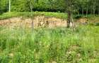 Teren zona de munte 1800 mp, cu apa de izvor, la Somesu Rece - 3
