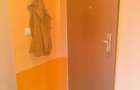 Apartament 1 camera, etaj intermediar, zona Ioan Rus - 4