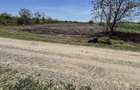 Teren Therme,posibilitate bransament apa-canal,gaz,electric,54000 euro - 6